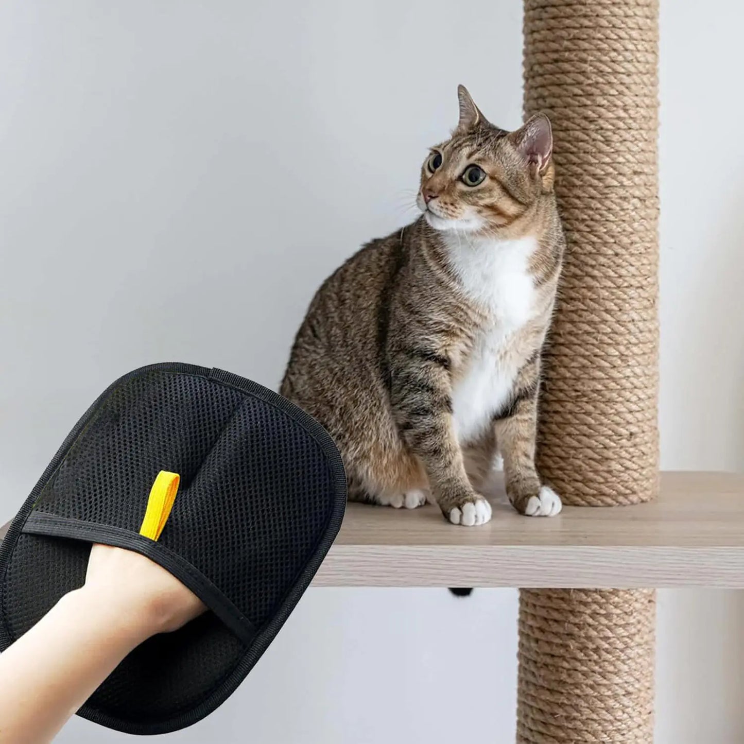 Fur-Free Pet Grooming Gloves